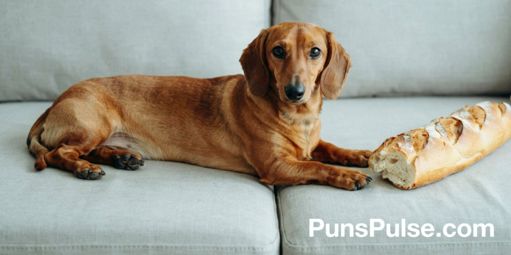 High level description
•
A casual iPhone snapshot of a reddish-brown dachshund lounging on a light gray linen couch beside a fresh French baguette, with the dog placed slightly left of center and the loaf extending toward the right edge.
Compositional deconstruction
•
Background: Light gray linen couch fabric fills the frame as the surface beneath both subjects, with subtle weave texture visible across the cushion. Soft even daylight from an off-frame window casts gentle directional shadows pooling beneath the dog and the loaf where they meet the cushion. Neutral-to-slightly-cool white balance keeps the browns honest, with warm reddish-browns of the dog and crust set against the cool light-gray linen. Faint Kodak Portra grain runs across the frame for editorial lifestyle warmth.
Elements
•
Type: obj
•
Desc: Smooth-haired dachshund with rich reddish-brown coat, lying stretched out along the couch cushion in three-quarter front view facing the camera, body filling roughly 55% of the frame width anchored slightly left of center. Front paws extended forward in a relaxed loaf-like pose, dark alert eyes catching the window light with small reflective highlights, glossy black nose, ears flopped softly to the sides, head lifted slightly with focused expression, gaze directed toward the baguette beside it.
•
Type: obj
•
Desc: Large French-style baguette resting on the couch cushion just beside the dog's front paws, extending toward the right edge of the frame. Golden-brown crust with distinctive diagonal scoring marks across the top, dusted lightly with flour, one end sliced open showing soft airy crumb interior.
•
Type: text
•
Text: PunsPulse.com
•
Desc: Large readable sans-serif text in the lower-right corner, crisp white with strong contrast against the muted gray linen background, horizontal, right-aligned.