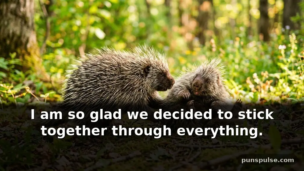 Heartfelt Porcupine Puns About Love and Friendship